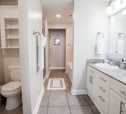 Master bath, double vanity, separate soaker tub and shower