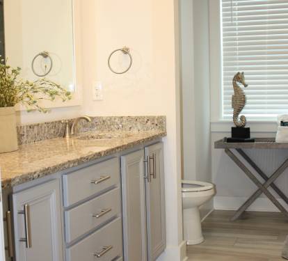 Private Master Bathroom
