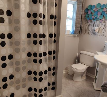 main bathroom (upper level)