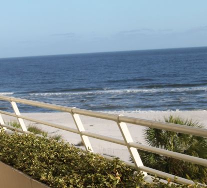 Great for dolphin watching