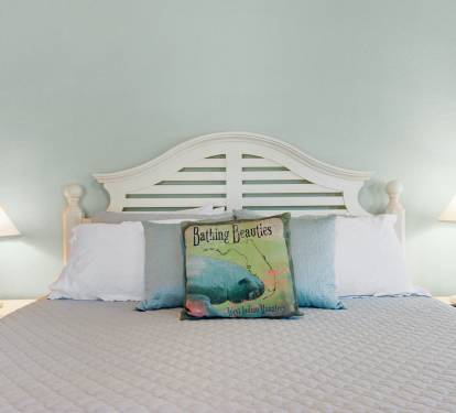 Upstairs Master suite with king bed