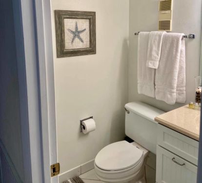 Guest Bathroom in Living Area