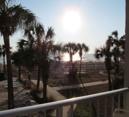Photo #11