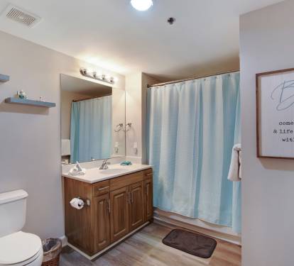 Hall Bathroom