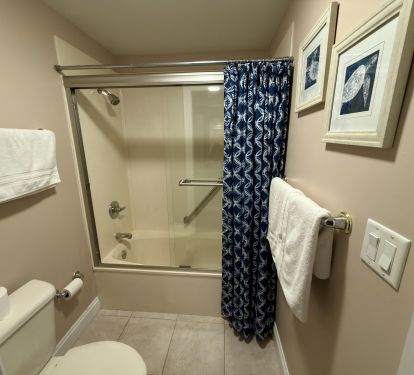 Guest Bathroom Shower Area