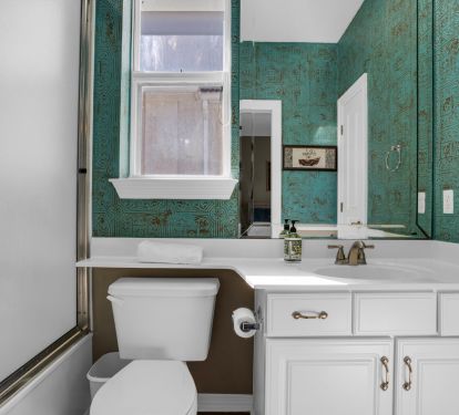 Master Guest Bathroom 