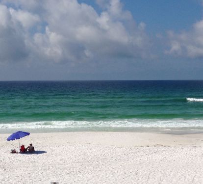Paradise found