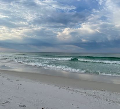 Come enjoy our white sand beach!!