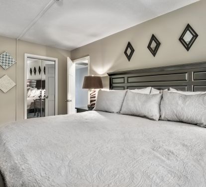 Master BR has new king bed, ensuite bath