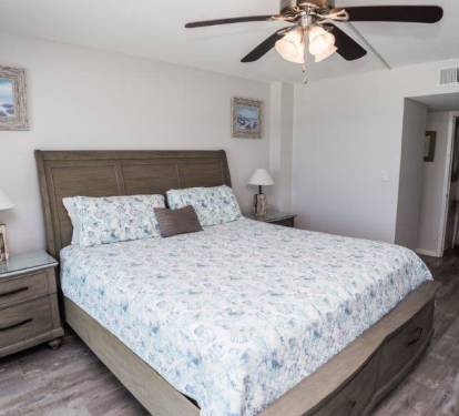 Primary Bedroom with King Bed