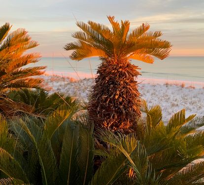 Peaceful sunrises and sunsets.
