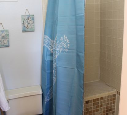 Shower with Seat