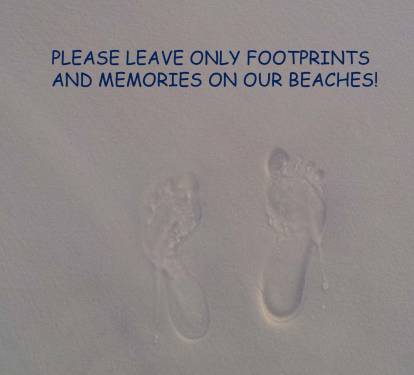 Please help us maintain our beautiful beaches!