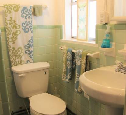 Each Side of the duplex has 1 Bathroom (identical to this)