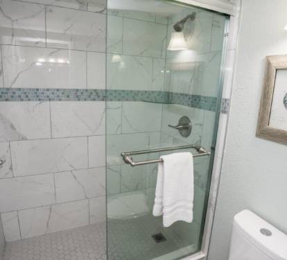 Primary Bathroom Shower