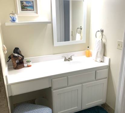 Master bath tub/shower combo