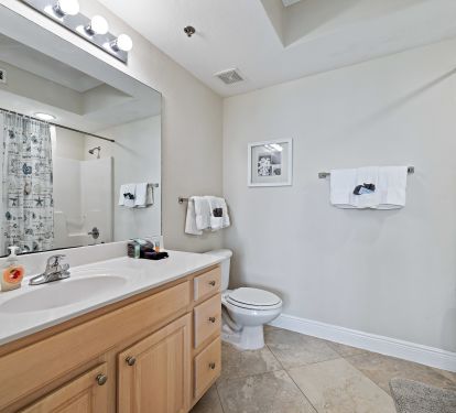 Large Master Bedroom full bath with new chair height toilet 