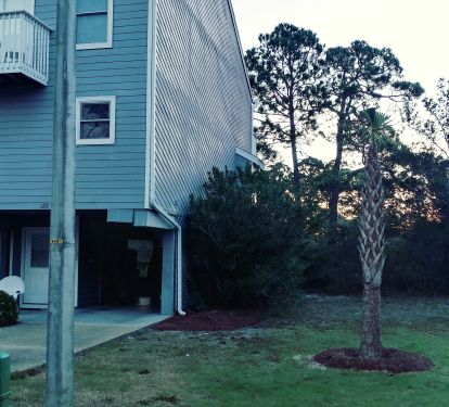 Photo #21