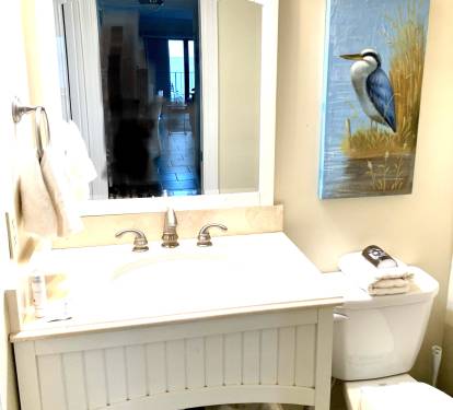 Second bath. Walk in shower 