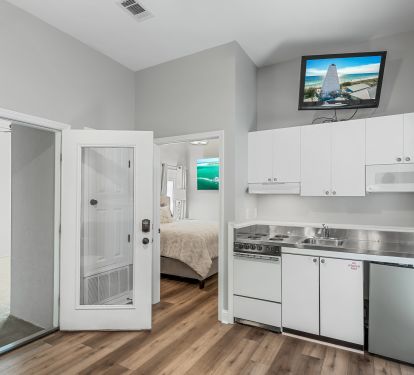 Mother-in-Law Living Room with Kitchenette