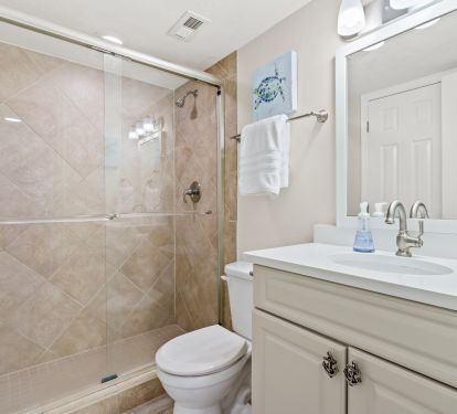 Secondary Bathroom (walk-in shower)