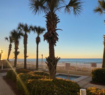 View off patio