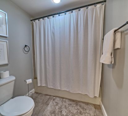 Master tub/shower combo.  Separate door. 