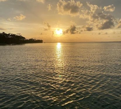 Photo #23