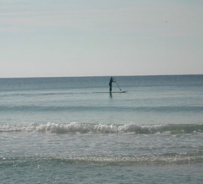 Rent a Paddle Board and have fun on the water
