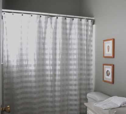 First floor master bathroom