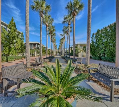 Entrance to Sunset Beach lined in beautiful palm trees.