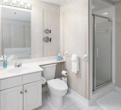 Master Bathroom Shower