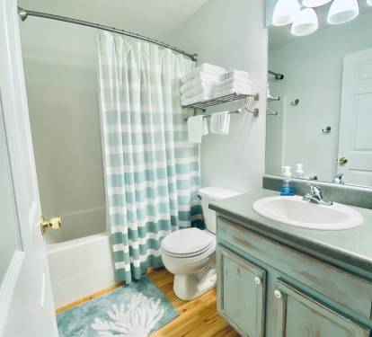 Guest Bathroom