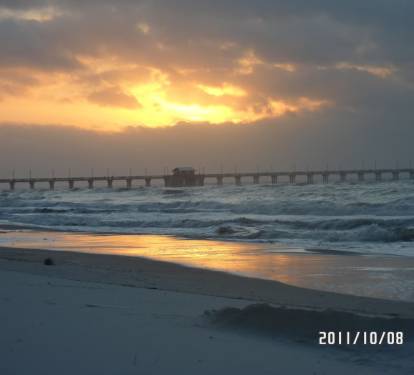 Photo #22