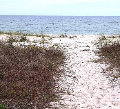 beach path