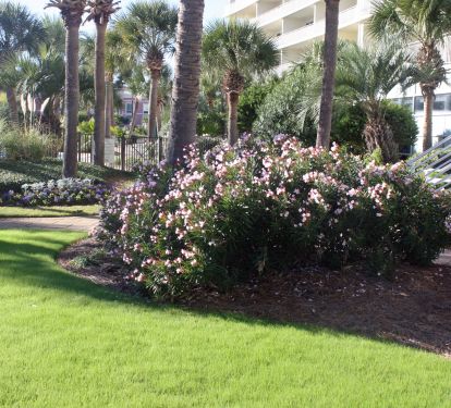 Sterling Shores is located on nine lushly landscaped acres