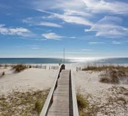 Photo #14