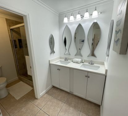 Master bathroom - completely new double vanity and fishy mirrors