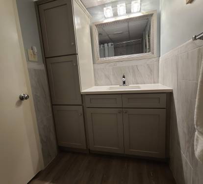 Guest bath total remodel
