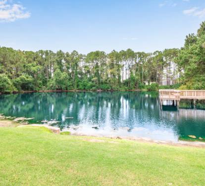 Linkside neighborhood pond. My kids love watching the turtles swim.