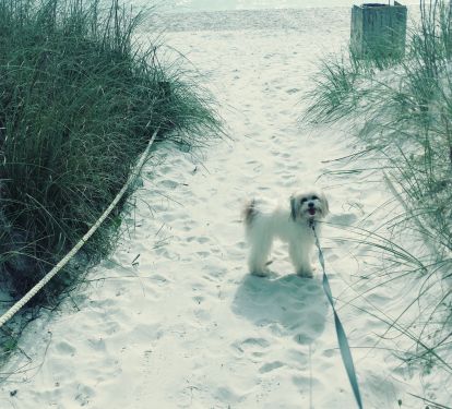 Photo #22