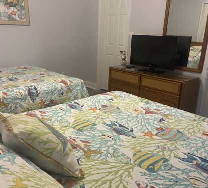 The front bedroom includes a tv and a walk-in closet. 