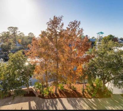 Balcony View_02