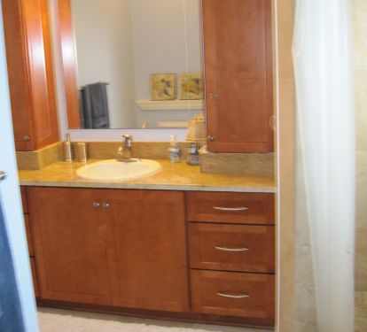 West Master Private Bathroom