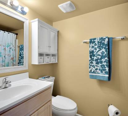 Master bathroom.