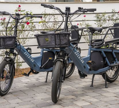 E-Bikes- 2 Adult E-Bikes included- 2 regular beach Cruisers available