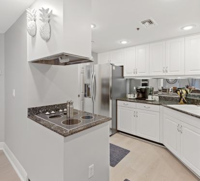 Gourmet kitchen