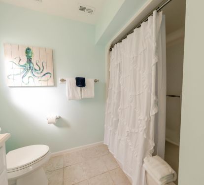 Master bathroom 