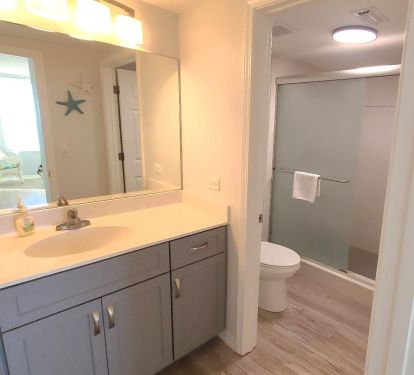 Updated master bath with walk-in double shower.
