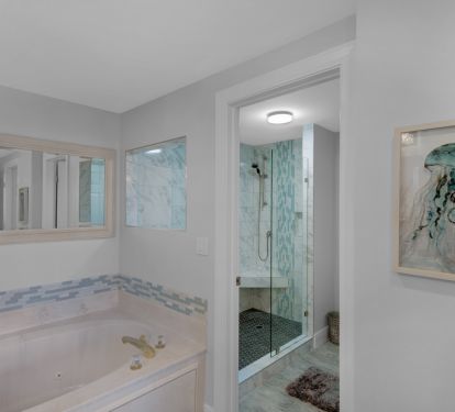 Soaking tub and walk in shower